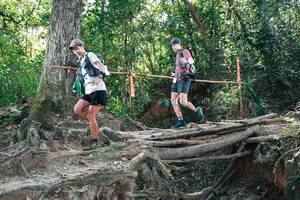 BIB: 
                            <button type="button" onclick="openModal(27744494)" class="btn btn-primary btn-sm float-right btn-popup" data-toggle="modal" data-target=".modal-high-quality">
                        <i class="fas fa-shopping-cart"></i> Add to Cart
                    </button>
                                            <button type="button" onclick="isThisMe(27744494, true)" class="btn btn-success btn-sm float-right btn-popup btn-isme hidden" data-toggle="tooltip" data-placement="bottom" title="นี่คือรูปของคุณใช่ไหม คลิกที่นี่เพื่อเอาเข้าอัลบั้ม">
                        <i class="fas fa-plus"></i> Add to album
                    </button>
                    <button type="button" onclick="isThisMe(27744494, false)" class="btn btn-warning btn-sm float-right btn-popup btn-isnotme hidden">
                        <i class="fas fa-ban"></i> Remove from album
                    </button>